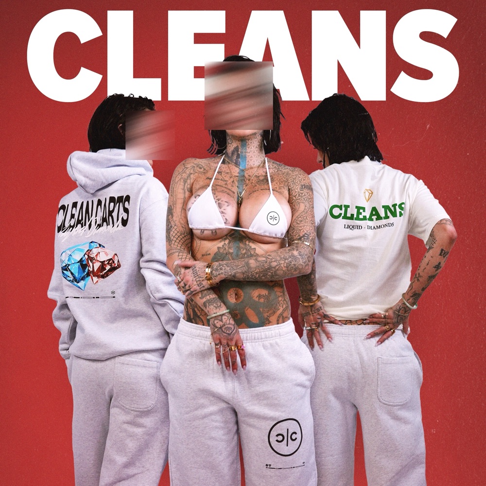 clean carts